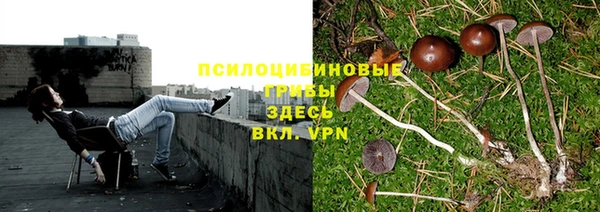 не бодяженный Валдай