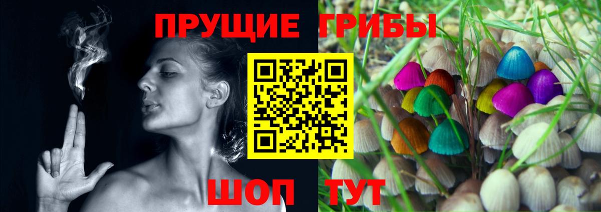 Галлюциногенные грибы Psilocybe  Псилоцибиновые грибы мицелий  Вход с VPN  Краснознаменск 