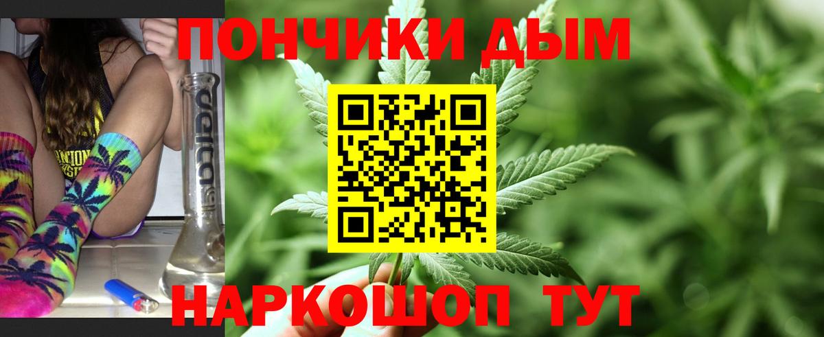 Марихуана план Краснознаменск